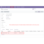The backend displays complete details of multi-currency transactions.