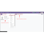 Use filters to import customers from Prestashop into Odoo.