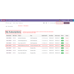 Customers can access the Subscriptions menu from My Account to view their active subscriptions.