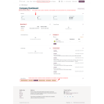 Odoo B2B Company Accounts