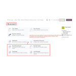 Odoo B2B Company Accounts
