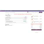 Odoo ShipBob Shipping Integration