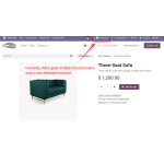 1. Current functionality of Odoo Website Product Publish