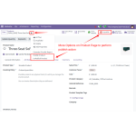 3. Odoo Quick Product Publish - More options