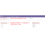 Custom Registration Form