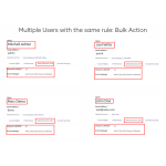 6. Multiple Users with the Same Rule Bulk Action