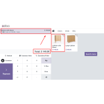 4. Odoo POS View