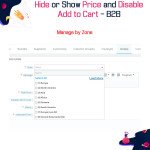 Hide or Show Price and Disable Add to Cart - B2B