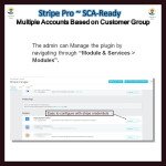 Stripe PRO-Multiple Account Based on Customer GroupSCA