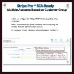 Stripe PRO-Multiple Account Based on Customer GroupSCA