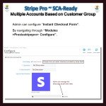 Stripe PRO-Multiple Account Based on Customer GroupSCA