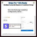 Stripe PRO-Multiple Account Based on Customer GroupSCA