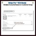 Stripe PRO-Multiple Account Based on Customer GroupSCA
