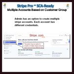 Stripe PRO-Multiple Account Based on Customer GroupSCA