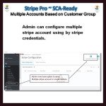 Stripe PRO-Multiple Account Based on Customer GroupSCA