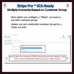 Stripe PRO-Multiple Account Based on Customer GroupSCA