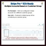 Stripe PRO-Multiple Account Based on Customer GroupSCA