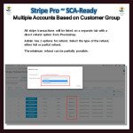 Stripe PRO-Multiple Account Based on Customer GroupSCA
