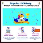 Stripe PRO-Multiple Account Based on Customer GroupSCA