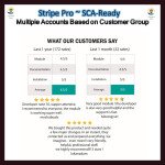 Stripe PRO-Multiple Account Based on Customer GroupSCA