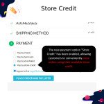 PrestaShop Store Credit Buy Now Pay Later - Digital Vault