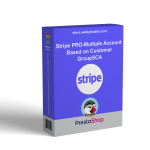 Stripe PRO-Multiple Account Based on Customer GroupSCA
