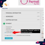 online payment solution