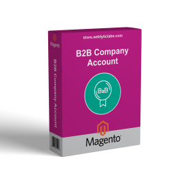 B2B Company Account Extension For Magento 2