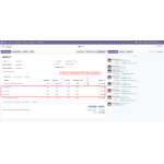Check the fees in order lines before finalizing.