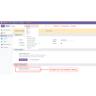 Enable the cart reminder option. This allows the system to automatically notify customers about their saved carts.