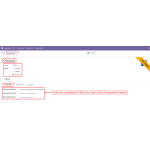 Activate Checkout.com and input credentials to start processing payments.
