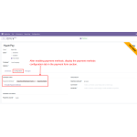 After activation, payment settings appear for easy management and adjustments.
