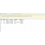 Excel download completed successfully. The file is ready for viewing or processing.