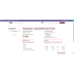 Customers can view detailed information for each subscription directly on the frontend.