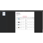 PDF report downloaded successfully.