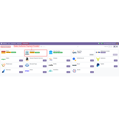 On the Payment Providers page, select the Authorize payment provider to enable it for transaction processing.