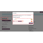 Provider auto-selected based on configured fee conditions.
