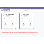 Create and manage multiple Salla instances for better control and organization within Odoo.