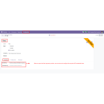 Open the Nexi payment provider and configure the required API credentials to connect Odoo with the Nexi payment gateway.