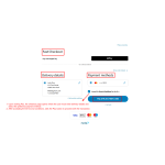 Enter the delivery details, accept the terms and conditions, and click Pay to proceed with the transaction.