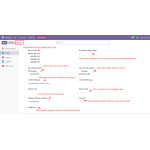 Set advanced options like date format, visitor memory, actions, messages, redirect URL, and display rules.