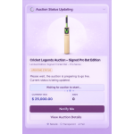 Auction Details & Terms in One View