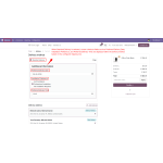 Custom checkout fields are displayed within the selected delivery method based on the configured shipping rule.