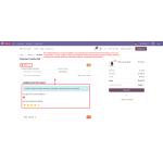 Custom checkout fields are displayed within the selected payment provider based on the configured payment rule.