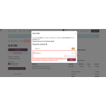 Customers can open the shared payment link and complete the payment securely using Payplug.