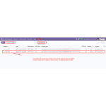 Monitor all API requests, responses, and shipping activity between Odoo and MyDSV.