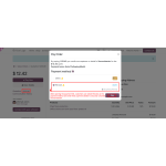 Customers can open the payment link and securely complete their payment using Revolut.