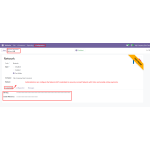Administrators can configure the Network API credentials to securely connect Network with Odoo and enable online payments.