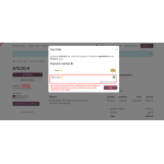 Odoo Axepta Payment Provider with Refund