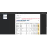 View a detailed PDF report with customer insights, engagement metrics, and business analytics.